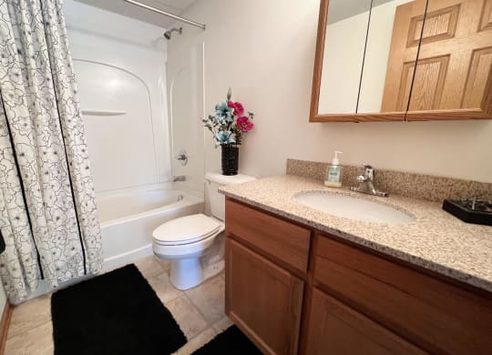 Bathroom With Bathtub at Walton Ridge Apartments, Kentucky, 41094