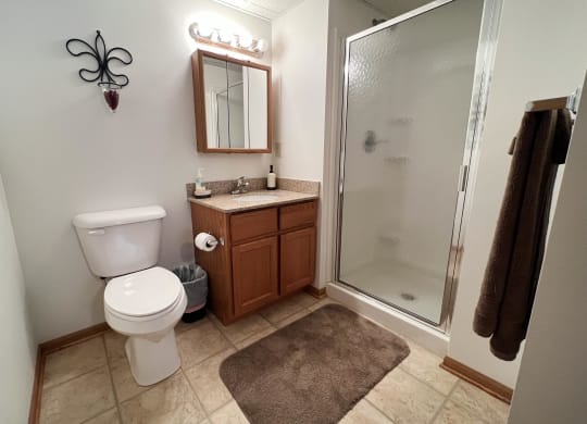 Bathroom at Walton Ridge Apartments, Walton