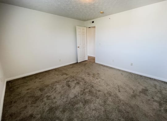 Plush Carpeting at Walton Ridge Apartments, Walton, Kentucky
