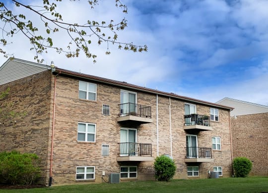 Backside View at Crown Crossing Apartments, Amelia
