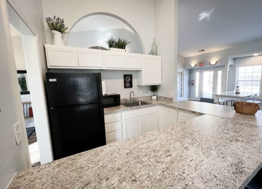 Granite Countertop at Woodhills Apartments, West Carrollton, OH, 45449
