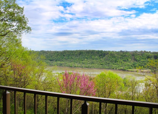 Indian Lookout greenery at Indian Lookout Apartments, Cincinnati, 45238