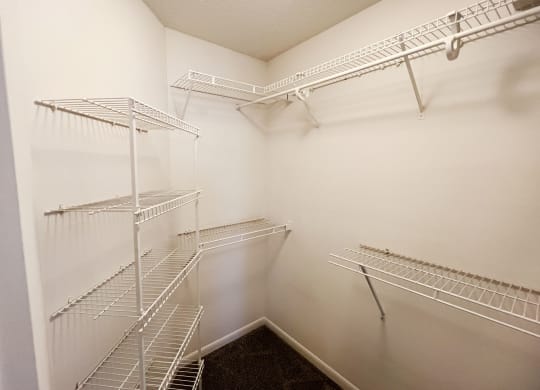 Spacious Closet at The Vinings Apartments, Cincinnati, 45245