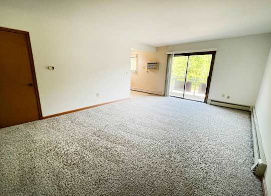 A room with a carpeted floor and a sliding glass door.