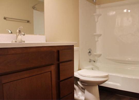 A white toilet sits next to a bathtub in a bathroom.
