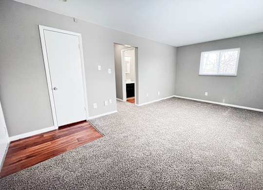 A room with a carpeted floor, a door, a window, and a small closet.