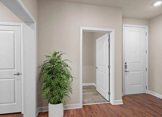 a room with two doors and a plant in the corner at The Dorset, Kansas City, MO