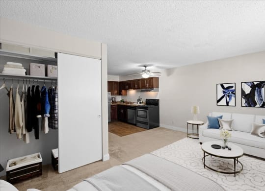 a living room and kitchen with a closet