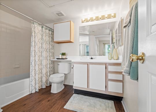 a bathroom with a toilet sink and bathtub in a 555 waverly unitat Stonebriar Woods Apartments, Overland Park, KS