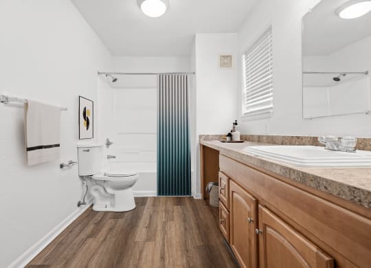 a bathroom with a toilet sink and bathtub