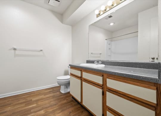 a bathroom with a sink and a toilet at Deerfield Apartments, Kansas