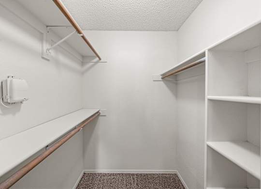 A white closet with shelves and a carpeted floor.