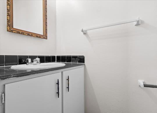 a bathroom with a sink and a shower and a mirror
