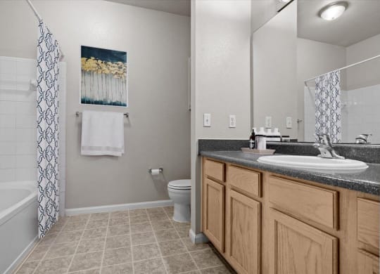 a bathroom with a sink and a toilet and a shower at Stonepost Lakeside, Olathe, Kansas