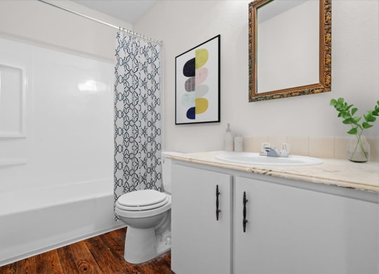 a bathroom with a sink and a toilet and a bath tub