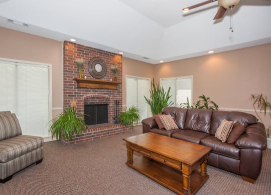 living room area decor  at Coventry Oaks Apartments, Kansas, 66214
