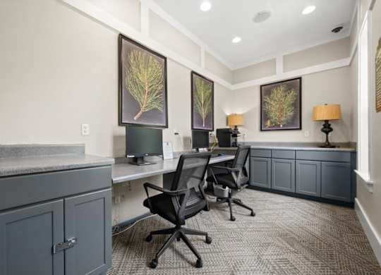 Work Desks at Stonepost Lakeside Apartment Homes, Olathe, Kansas