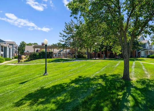 A tree stands in a grassy field with a street light to its left. at Somerset Oaks Apartment Homes, Olathe, Kansas