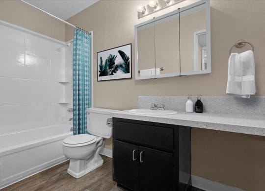 A bathroom with a tub shower combo and vanity mirror with black storage cabinets.
