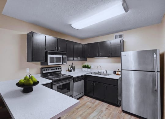 A kitchen with stainless steel appliances, black storage cabinets, and lots of counterspace.