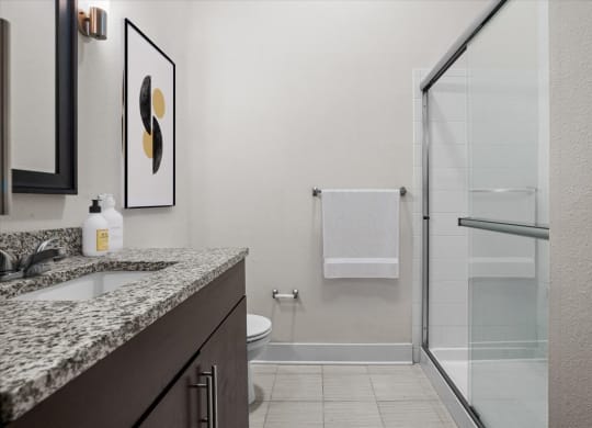 a bathroom with a sink and a shower and a toilet