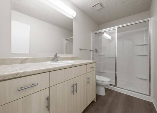 A bathroom with a sink, mirror, and toilet.