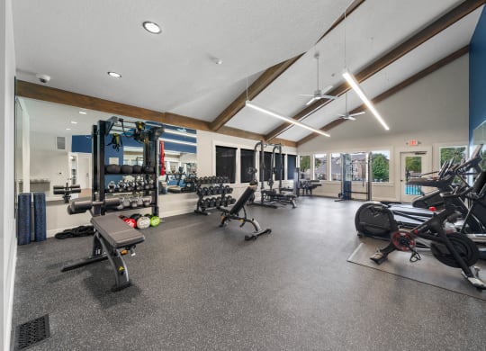 a gym with weights and cardio equipment on the floor and glass walls