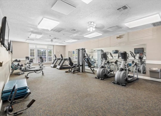 our gym is full of cardio equipment and has a lot of windows