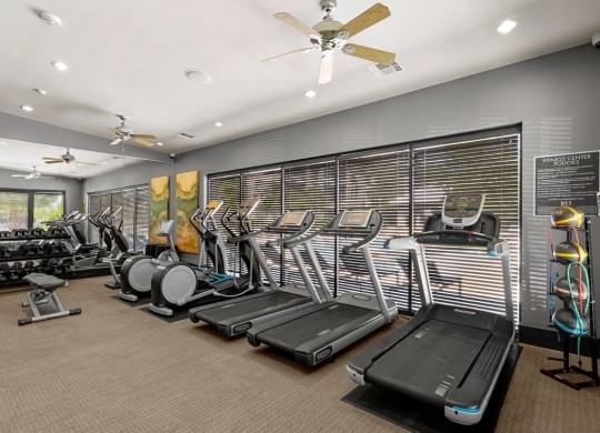 the gym is equipped with a variety of cardio equipment and weights