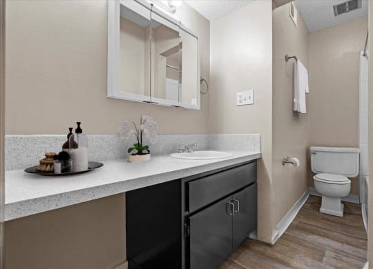 A bathroom with a vanity sink with black storage cabinets and a large mirror.
