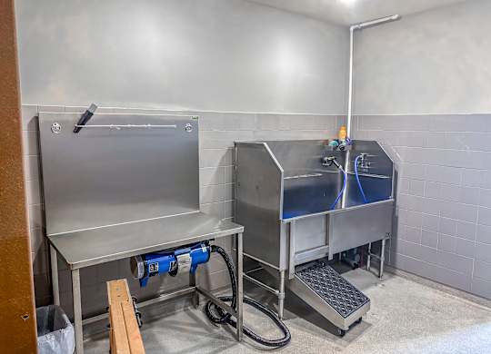 Modern pet washing station at The Dorset Apartments featuring elevated stainless steel wash tub, hose attachment, and grooming dryer.