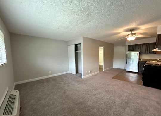 Classic Studio - Living Room with a carpeted floor and a ceiling fan.