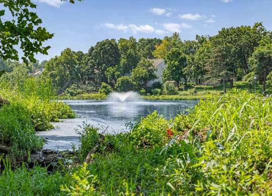 Scenic lake surrounded by lush greenery, shoreline vegetation, and a fountain at Millcreek Woods.