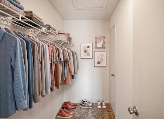 Large walk-in closet with shelving, hanging storage, and room for organization.
