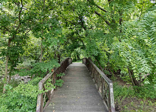 A wooden bridge leads through a lush green forest.