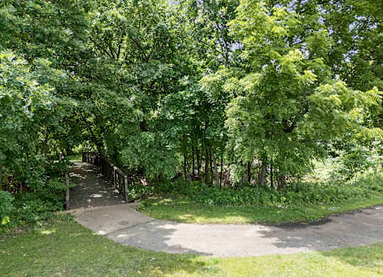 A pathway surrounded by green trees.