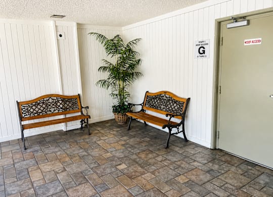 Two wooden benches sit in front of a wall with a door and a plant.