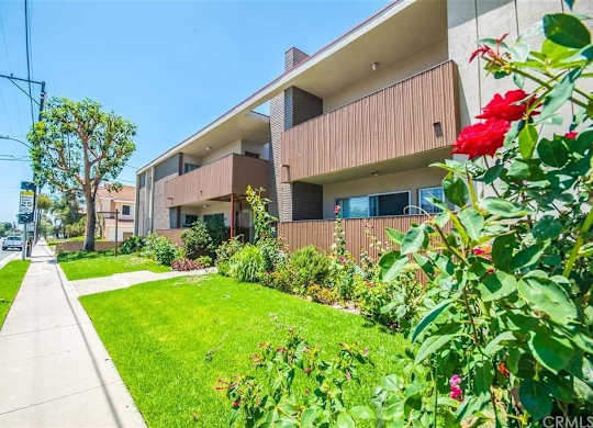 A red rose is in the foreground of a building.