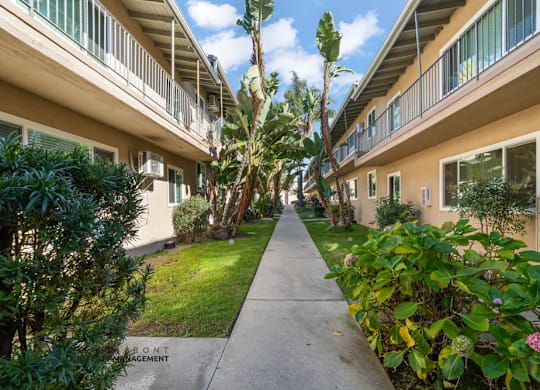 A long concrete walkway separates two rows of apartment buildings.