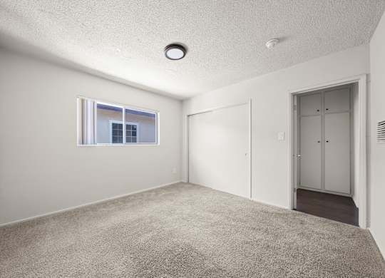 A room with a carpeted floor, a window, and a door.