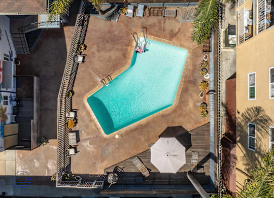 A swimming pool surrounded by palm trees and umbrellas.