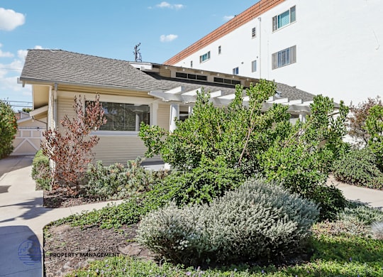 A house with a grey roof and a white wall with windows and a bush in front.