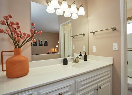 a bathroom with a sink and a mirror
