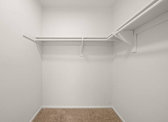 A white closet with a shelf and a carpeted floor.