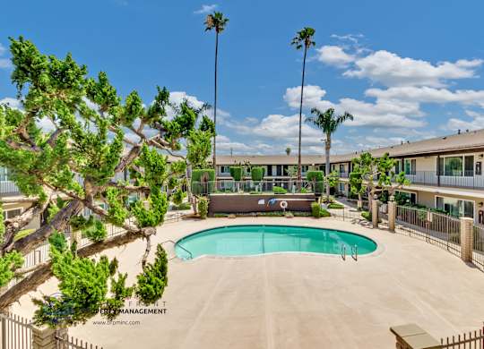 A pool surrounded by palm trees and a fence.