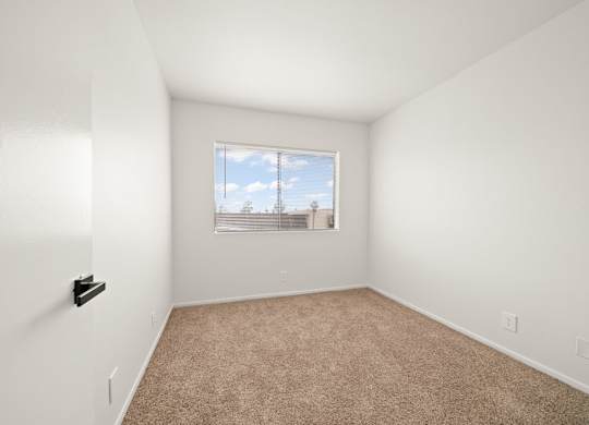 an empty room with carpet and a window