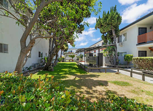 A white building with a tree in front of it.