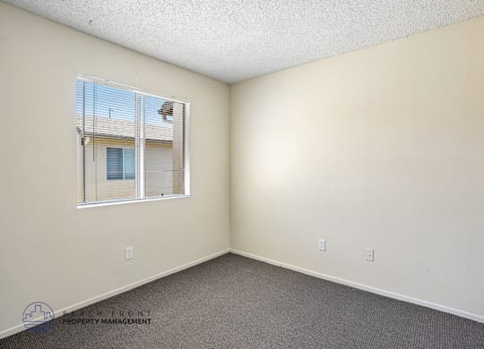 A room with a window and a carpeted floor.