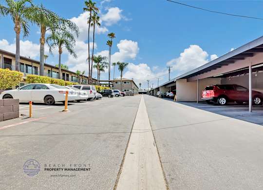 A parking lot with cars and palm trees in the background.