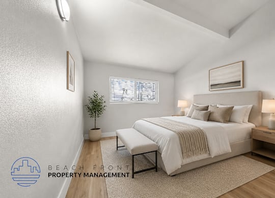 A well-lit bedroom with a large bed and a small plant on the side table.